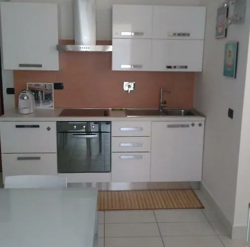 Mr Alto * 博洛尼亚